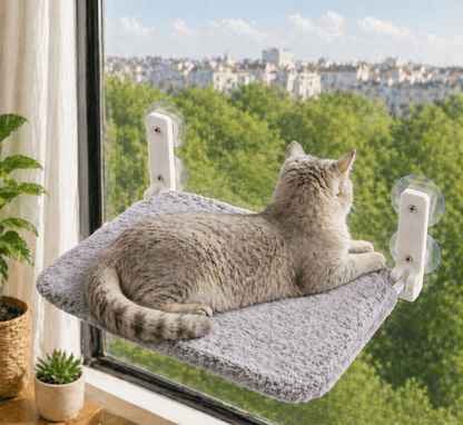 chat couche sur perchoir chat fenêtre gris peluche douce