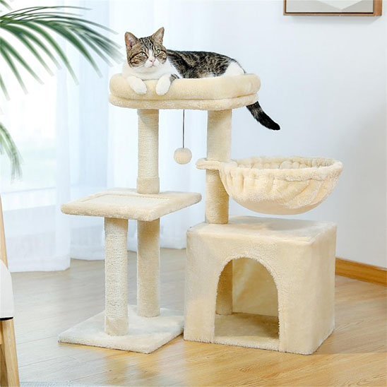 chat dans mini arbre a chat beige confortable