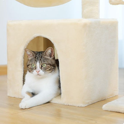 chat dans niche mini arbre a chat beige confortable