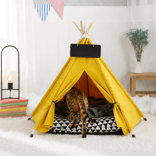 chat dans tente pour chat confortable jaune design triangle noir