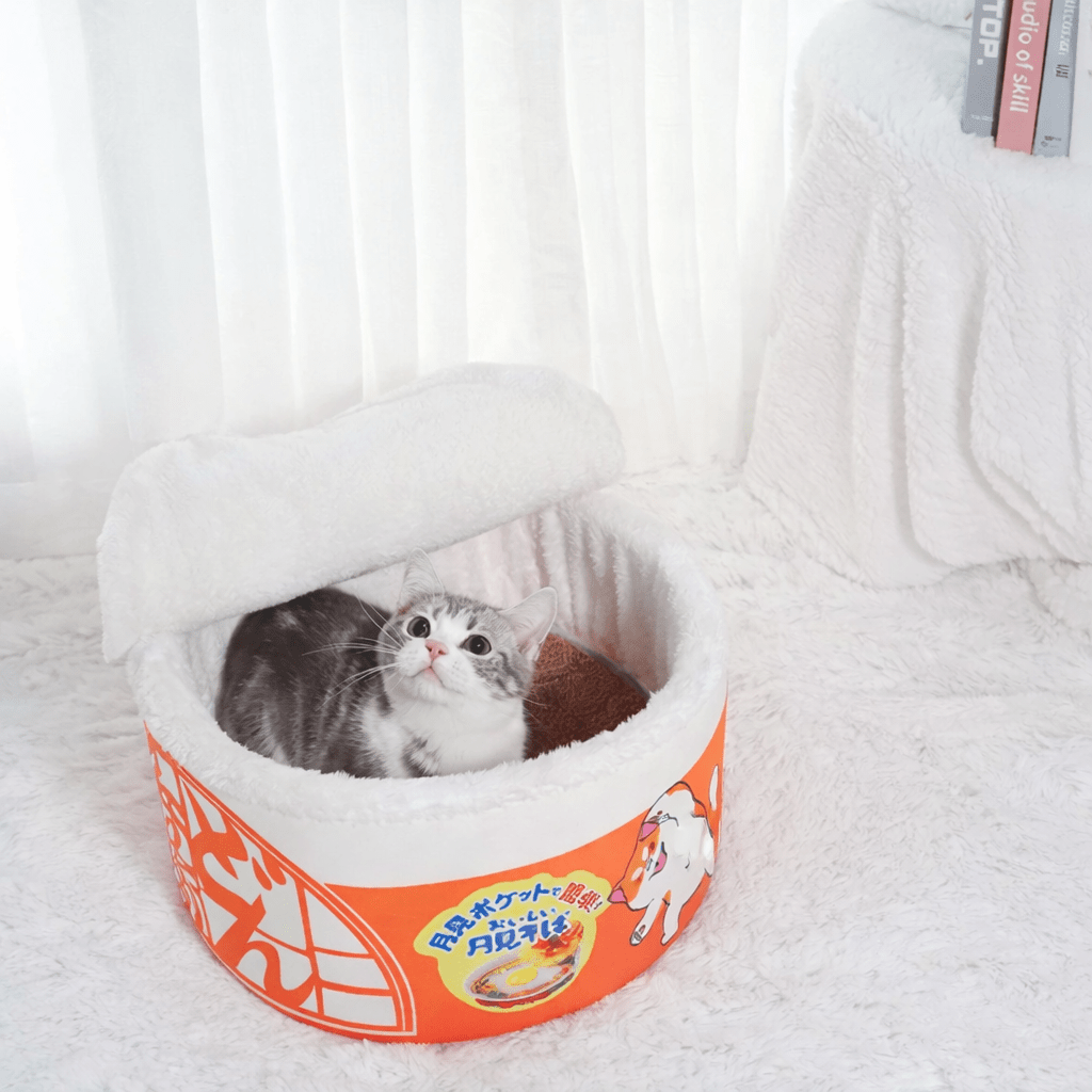 chat debout dans chat panier orange rond design nouille