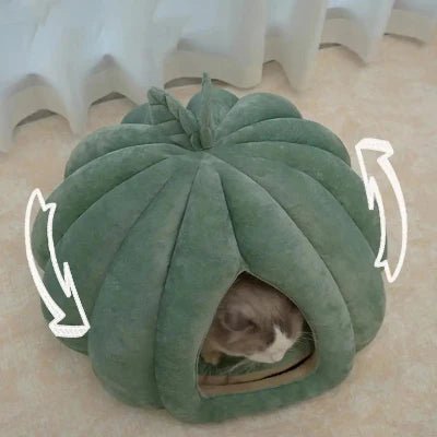 chat dedans niche pour chat citrouille