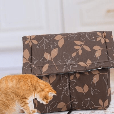 chat devant niche pour chat exterieur marron