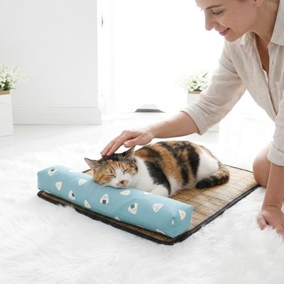 chat endormi paisiblement sur tapis rafraichissant chat confortable