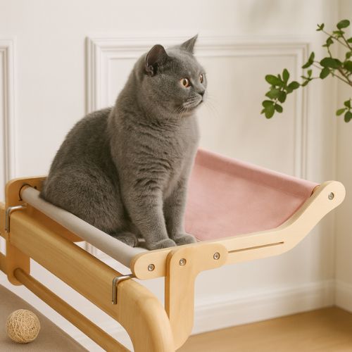 chat gris dans son hamac pour chat rose confortable