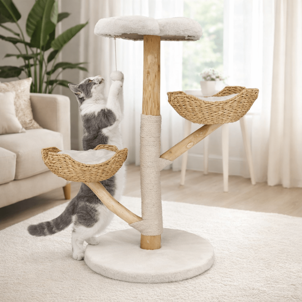 chat gris jouant sur petit arbre a chat nuage en bois 