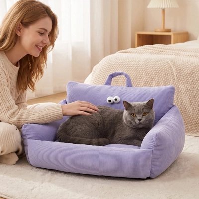 chat gris sur petit canape chat violet