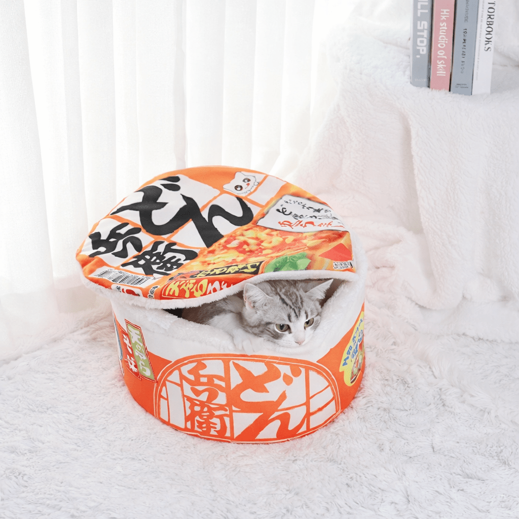 chat jouant dans chat panier orange rond design nouille