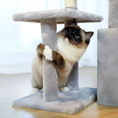 chat jouant dans mini arbre a chat gris confortable