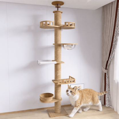 chat marchant devant arbre a chat en bois minimaliste