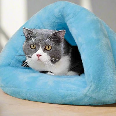 chat mignon dans lit pour chat snughut bleu