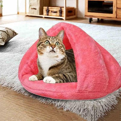 chat mignon dans lit pour chat snughut rose
