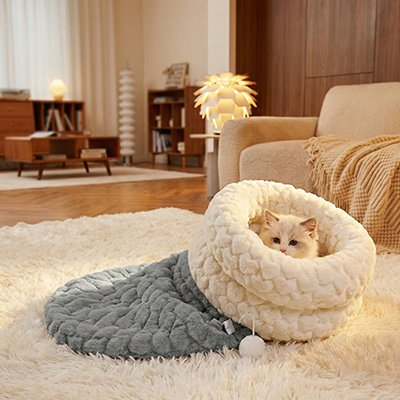 chat mignon dans sac de couchage chat laine