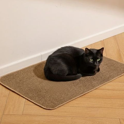 chat mignon noir sur tapis griffoir chat brun
