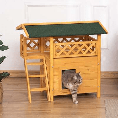 chat mignon sortant maison chat