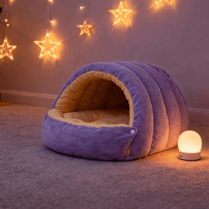 chat niche chaude semi fermee violet