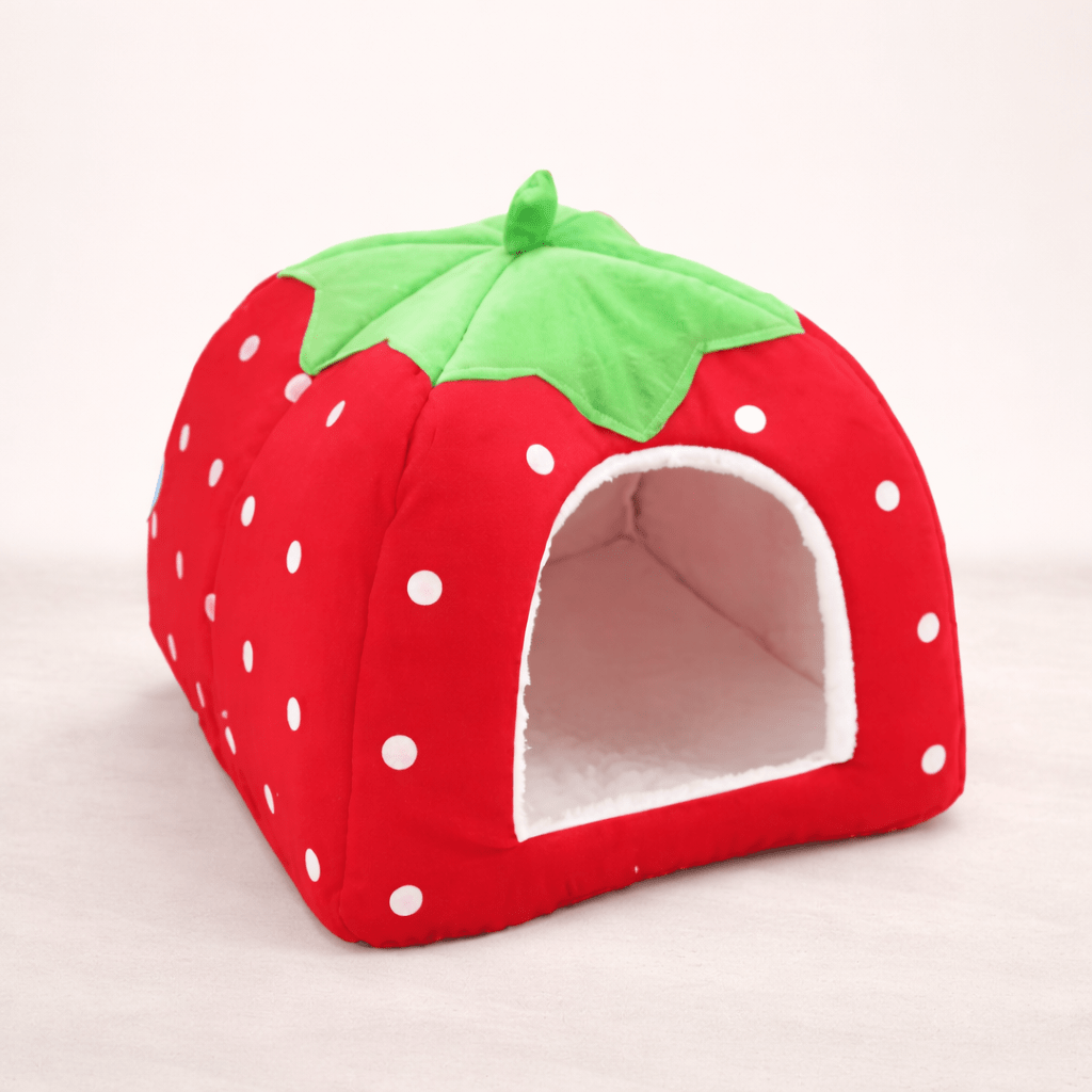 chat niche design fraise confortable