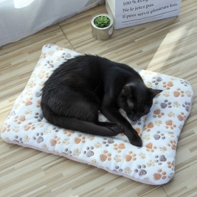 chat noir allonger sur tapis chat confortable