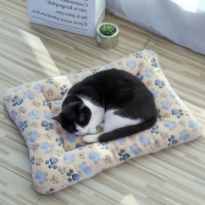 chat noir dormant sur tapis chat confortable