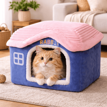 chat orange dans maison chat confortable douce bleu