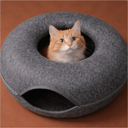 chat orange dans niche chat beignet feutre confortable gris