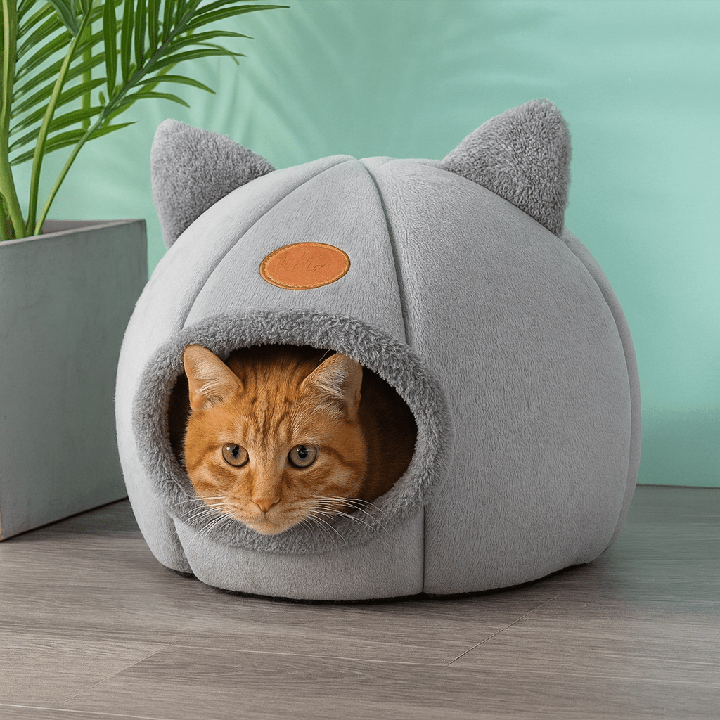 chat orange dans niche pour chat design chat gris confortable