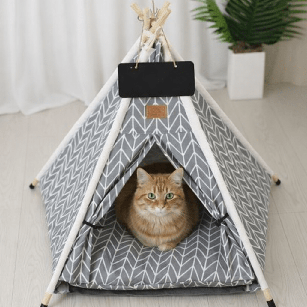 chat orange dans tente pour chat confortable design chevrons gris