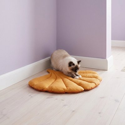 chat paitrissant tapis chat design coquillage jaune