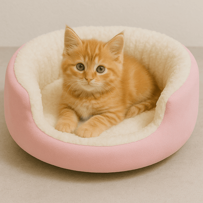 chat panier rose rond doux avec chaton orange couche