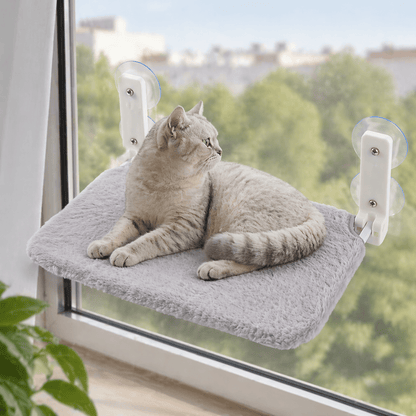 chat regardant exterieur sur perchoir chat fenêtre gris peluche douce