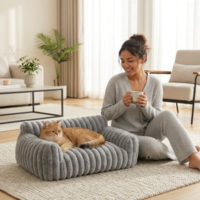 chat roux allonge sur petit canape pour chat gris