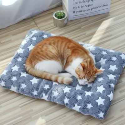 chat roux dormant sur tapis chat confortable
