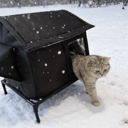 chat sortant maison chat exterieur elevee isolee noire