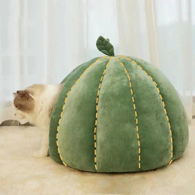 chat sortir niche pour chat citrouille