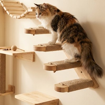 chat sur escalier arbre a chat mural stable