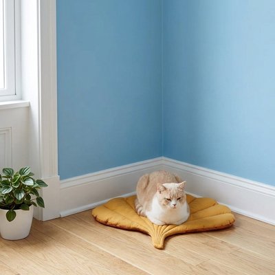 chat sur tapis chat design coquillage jaune confortable