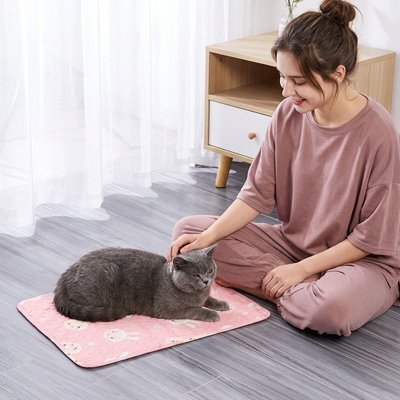 chat sur tapis rafraichissant chat design lapins rose