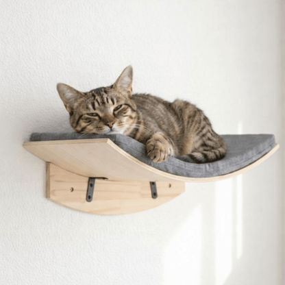 chat tigre allonge sur hamac chat mural confortable gris