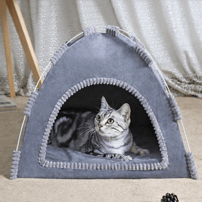 chat tigre dans niche chat chaude grise design tente