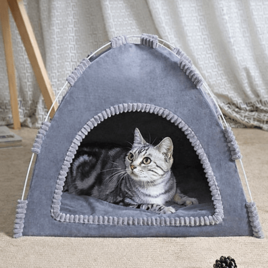 chat tigre dans niche chat chaude grise design tente