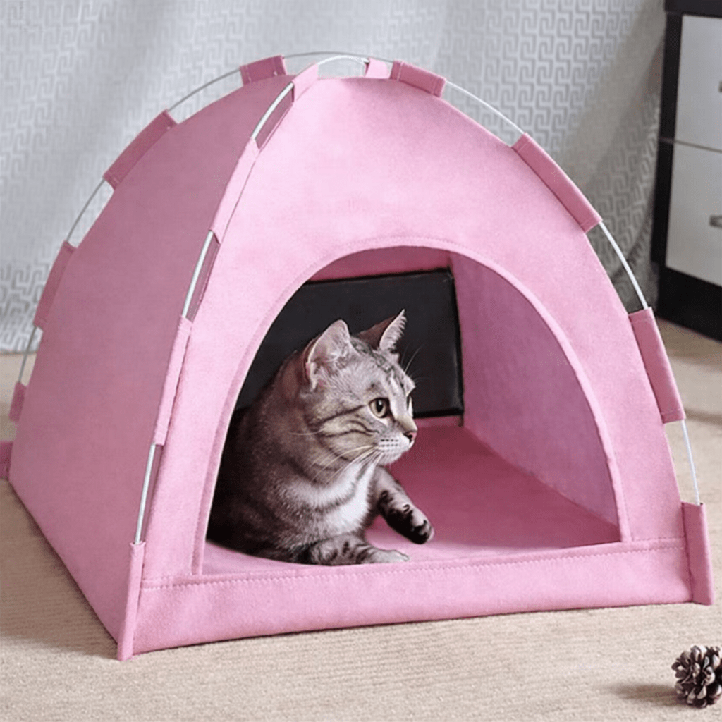 chat tigre dans niche chat respirante rose design tente