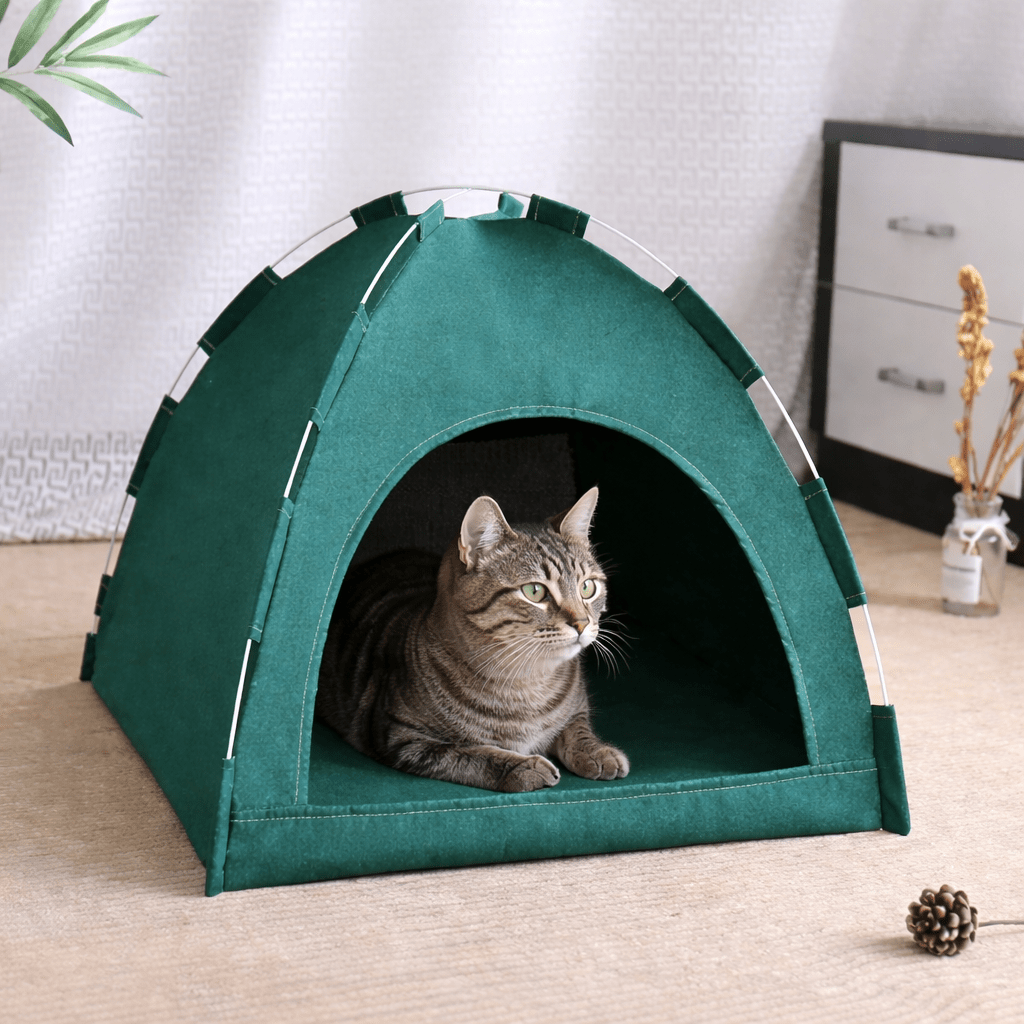 chat tigre dans niche chat respirante verte design tente