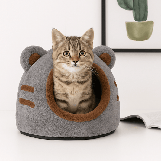 chaton assis dans niche pour chat design ours gris doux
