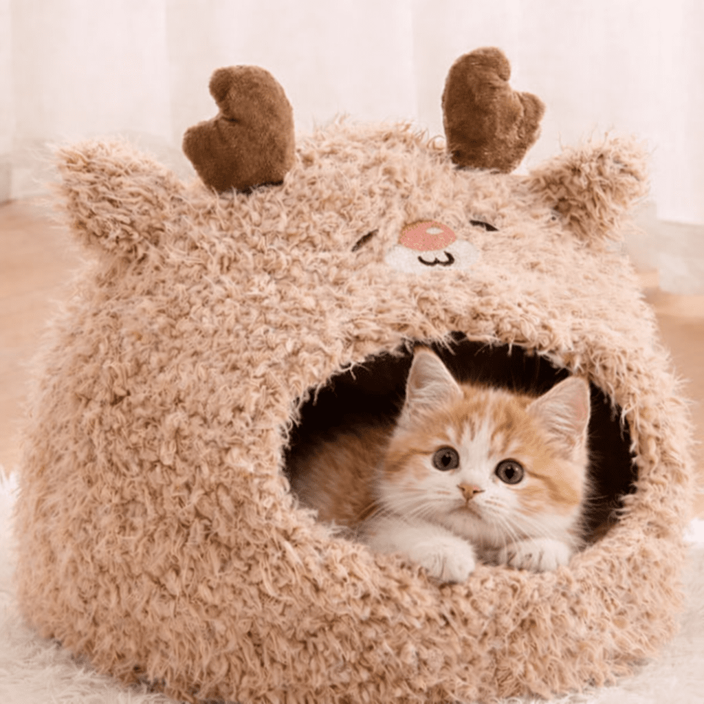 chaton beige couche dans niche chat douce brune design renne mignon