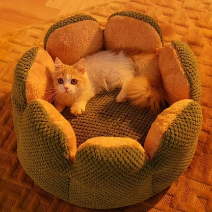 chaton blanc dans coussin chat forme fleur ronde confortable vert