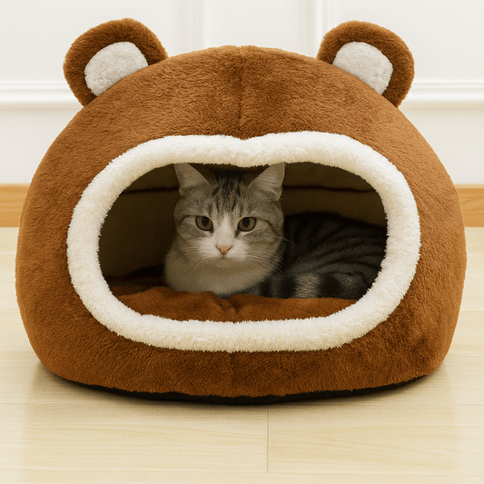 chaton couche dans niche chat design ours brun doux confortable