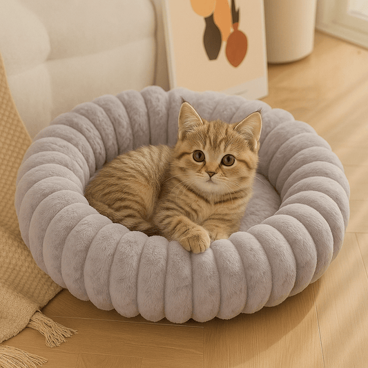 chaton dans coussin pour chat rond doux chaud gris