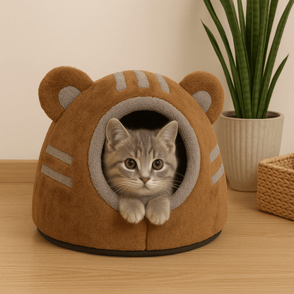 chaton dans niche pour chat design ours brun doux