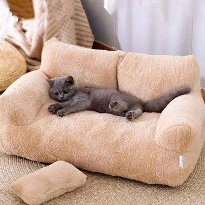 chaton gris allonger canape chat moelleux beige