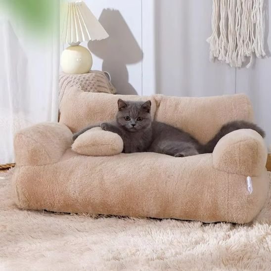 chaton mignon allonger canape chat moelleux beige
